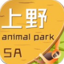 im电竞